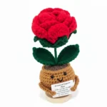 Adorable Positive Crochet Rose - The Little Hope Booster