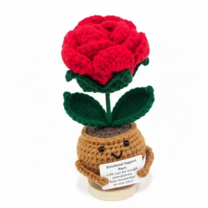 Adorable Positive Crochet Rose2