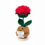 Adorable Positive Crochet Rose - The Little Hope Booster