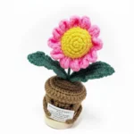 Handmade Crochet Daisy Potted Plant - Eternal Love & Support